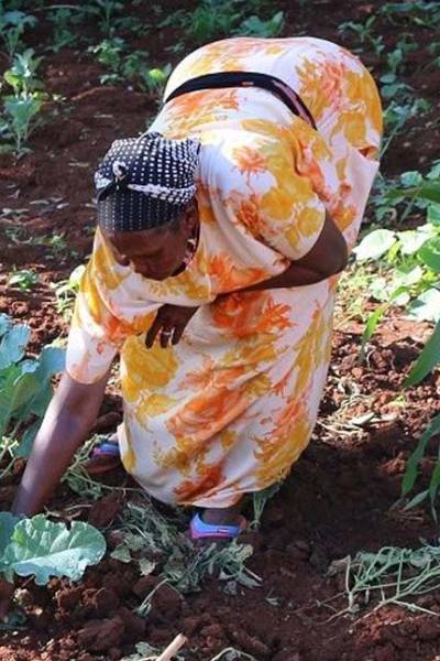 SUPPORTING COMMUNITIES THROUGH RESILIENCE AND EMERGENCY PROGRAMMING