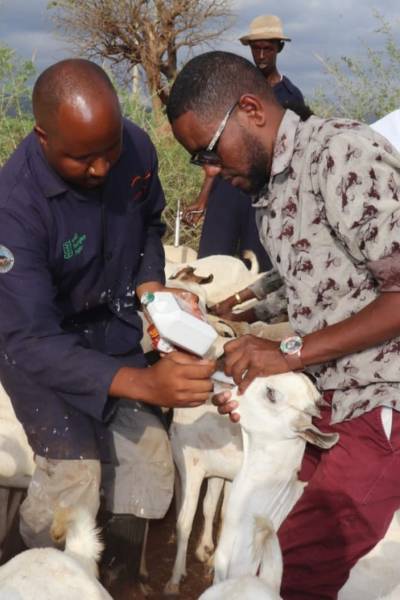 Families Rebuilding Lives Through Restocking