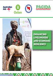 DFAT-report-2024-cover