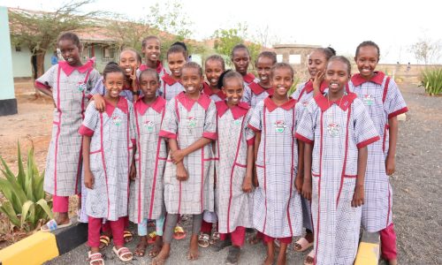 Tiigo school- education